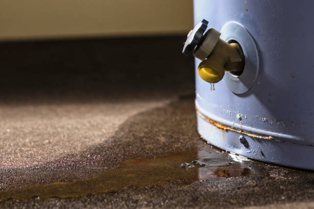 Best Basement water damage restoration  in Algoma, WI
