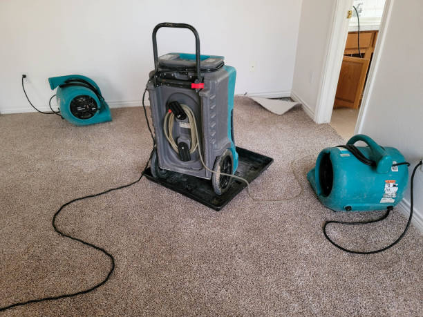 Best Sewage cleanup and water damage restoration  in Algoma, WI