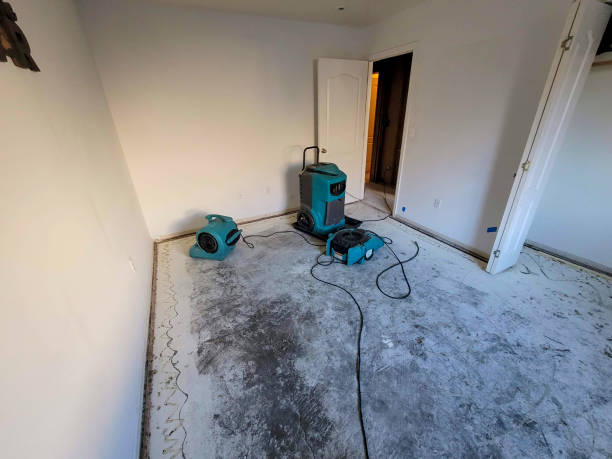 Best Emergency water extraction  in Algoma, WI