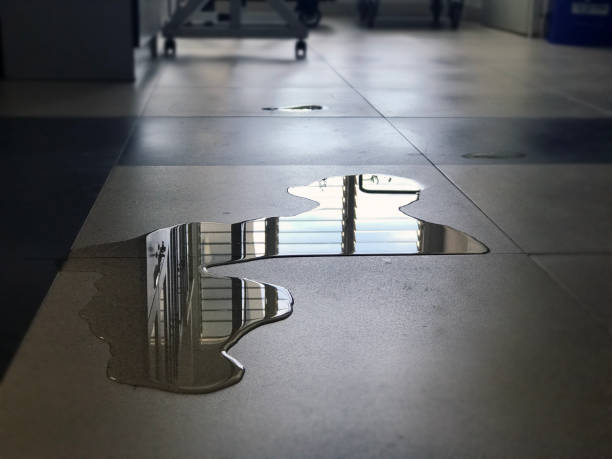Best Water damage restoration near me  in Algoma, WI