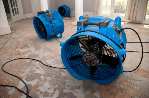 Best Residential water damage restoration  in Algoma, WI