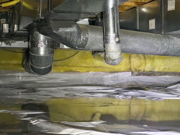 Best Flooded house restoration  in Algoma, WI