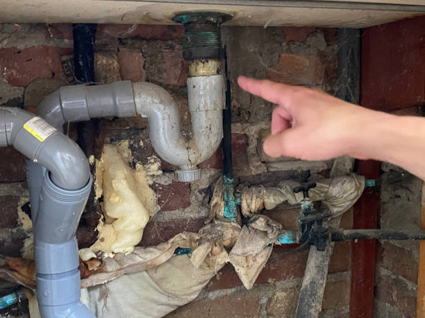  Algoma, WI Water damage restoration Pros