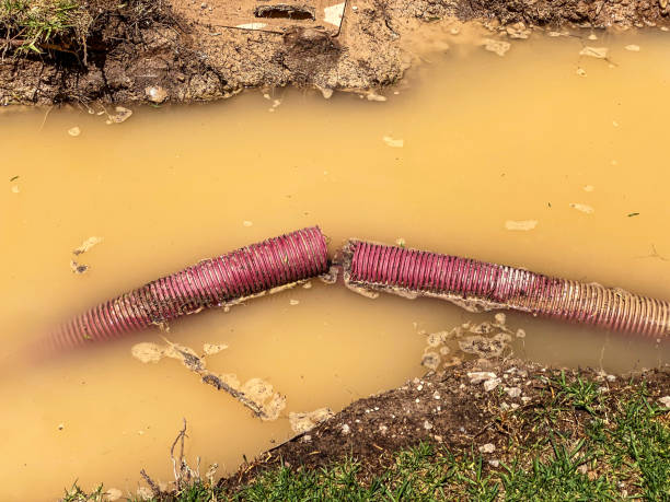Carpet water damage restoration in Algoma, WI