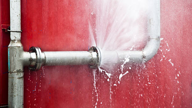 Best Flooded house restoration  in Algoma, WI